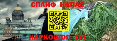 СК Донской