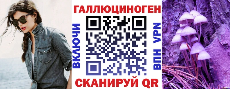 купить наркоту  Новоуральск  Псилоцибиновые грибы Psilocybe 