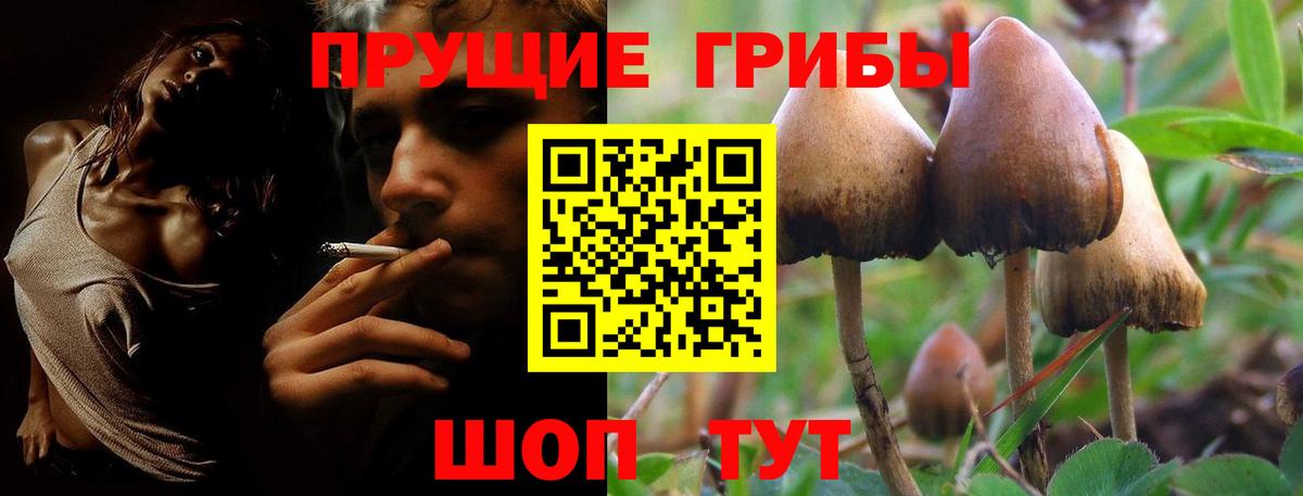 Псилоцибиновые грибы GOLDEN TEACHER Новоуральск